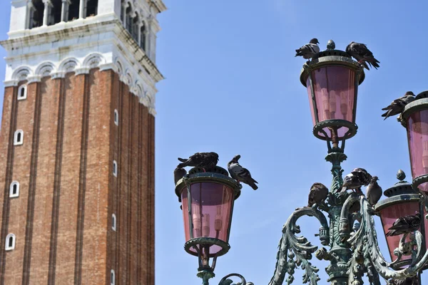 Wenecka latarnia i gołębie — Zdjęcie stockowe