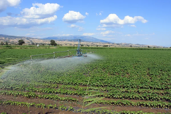 Irrigação de campo — Fotografia de Stock
