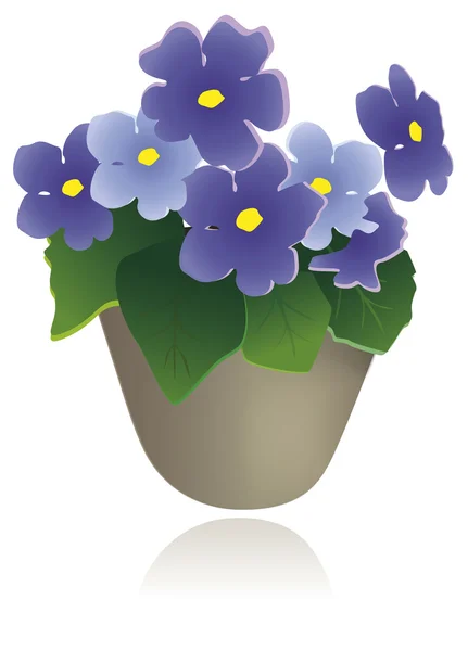 在花盆里的紫罗兰 — 图库矢量图片