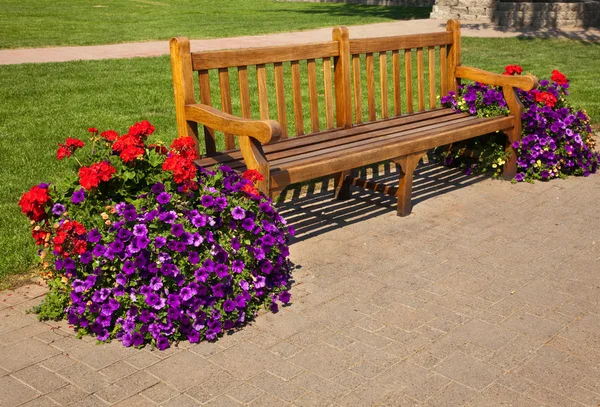 Prázdné lavice s květinami — Stock fotografie