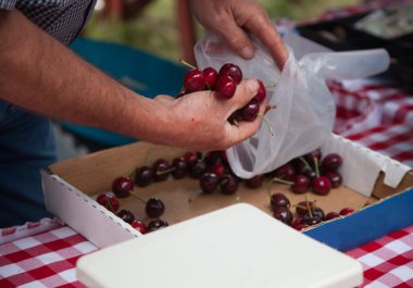 Farmers Market Cherries clipart