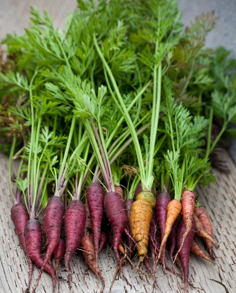 stock image Fresh Carrots