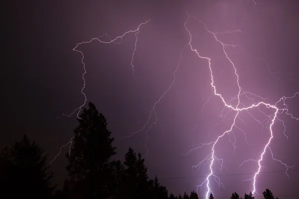 stock image Forked Lightning