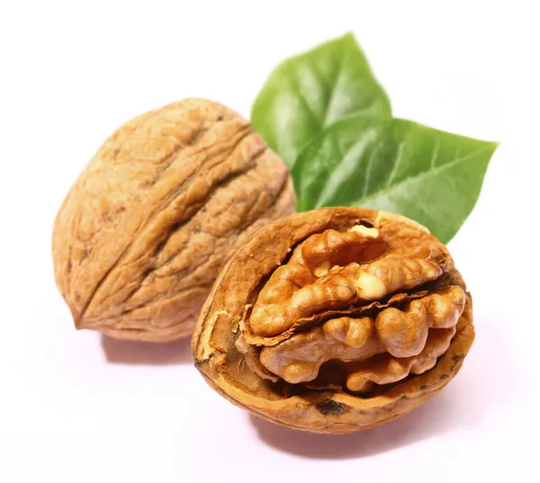 Walnuts with leaf — Stock Photo, Image
