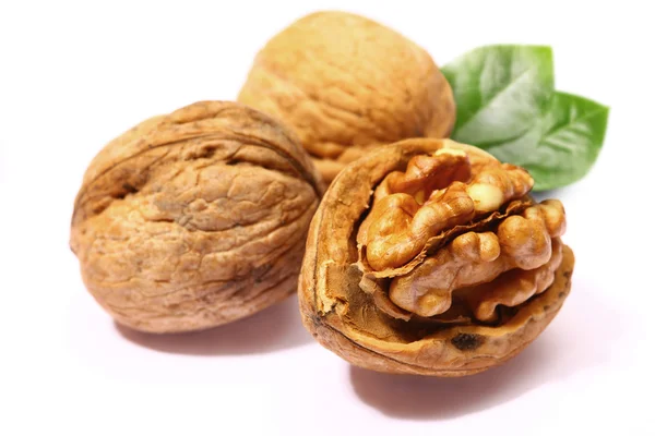 Walnuts with leaf — Stock Photo, Image
