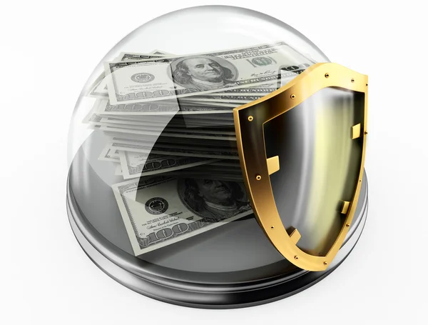 Peníze a ochrana — Stock fotografie