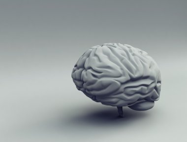 Brain - 3d clipart