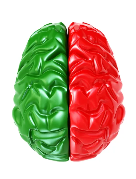 Cervello - 3d — Foto Stock