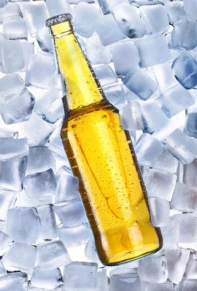 Cerveza y hielo alrededor — Foto de Stock