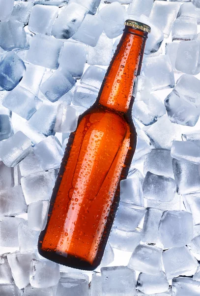Пиво и лед вокруг — стоковое фото