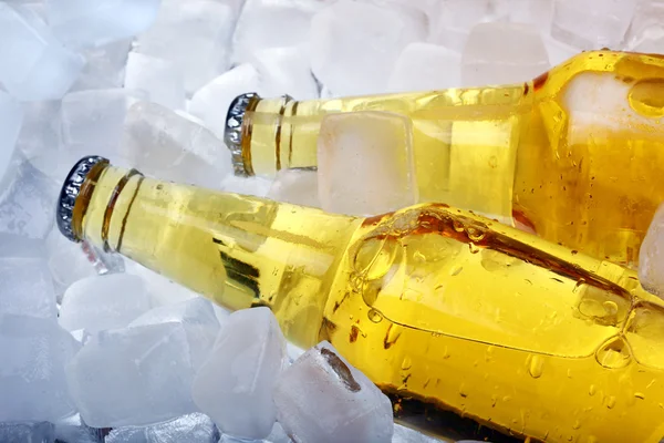 Flessen bier in ijs — Stockfoto