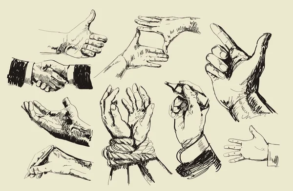 Коллекция рук — стоковый вектор