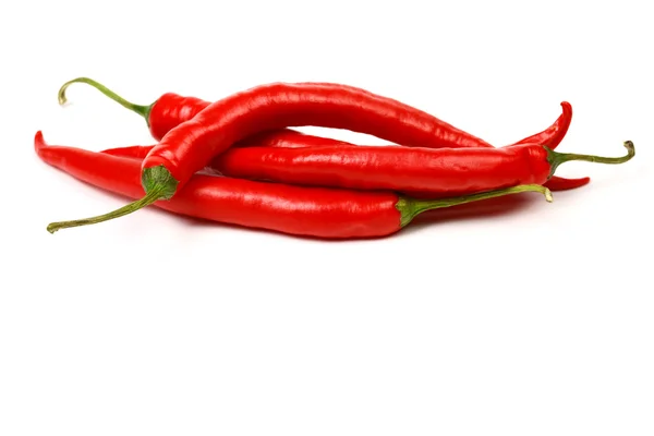 Červené chilli papričky — Stock fotografie