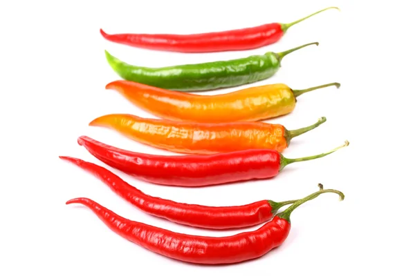 Chilli papričky — Stock fotografie