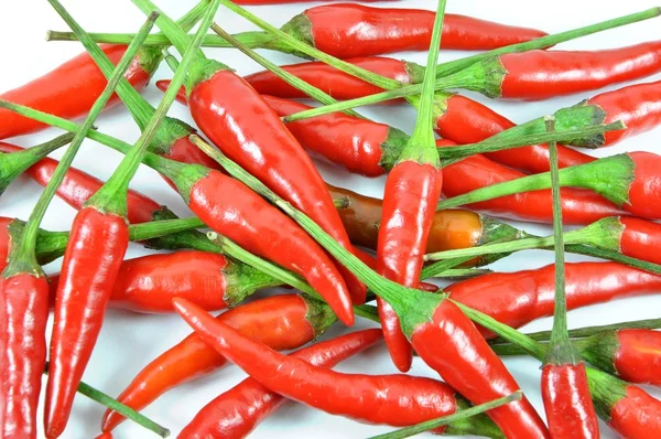 Red pepper background — Stock Photo, Image
