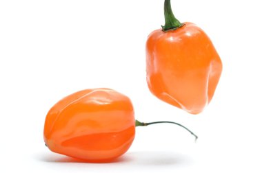 Isolated fresh hot pepper clipart