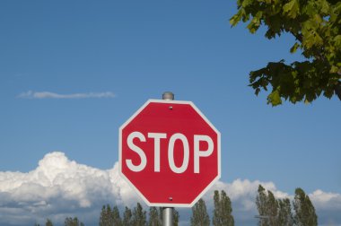 Macro stop road sign clipart