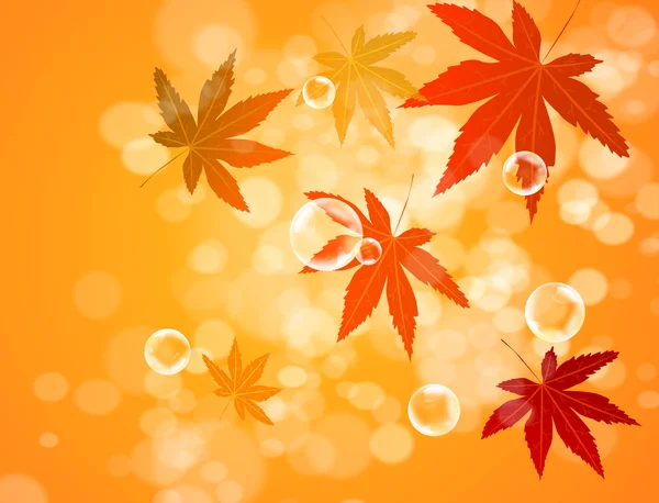 Abstract blur bubble and maple leaf background — Stock Photo, Image