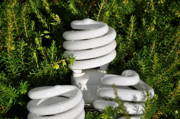 Spara energi-lampa — Stockfoto