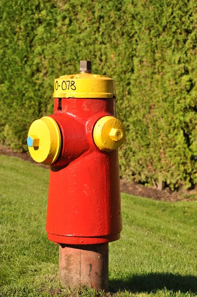 Szczegół fire hydrant — Zdjęcie stockowe
