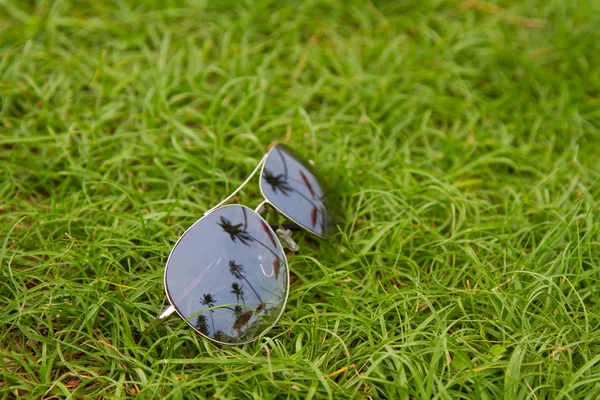Çimlerin üzerinde güneş gözlüğü Stok Fotoğraf