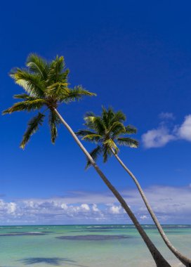 Singapore Skyline van de stad bij nacht