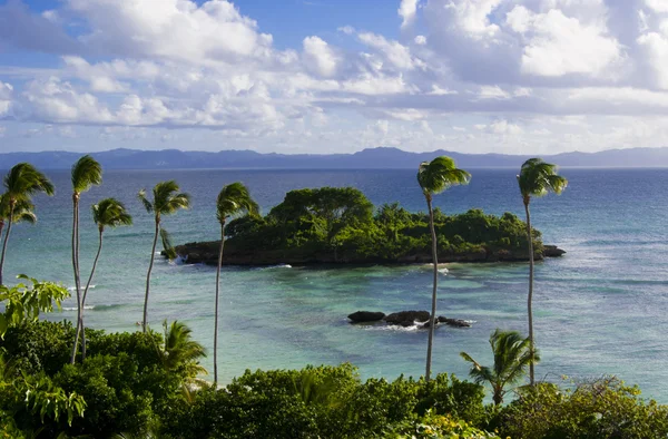 Malý tropický ostrov — Stock fotografie