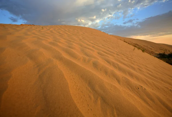 Sand dune at Great Sand Hills in scenic Saskatchewan — Stock Photo, Image
