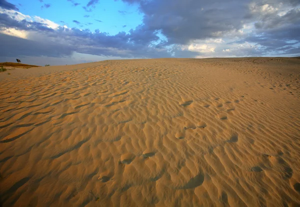 Sanddüne an großen Sandhügeln im malerischen saskatchewan — Stockfoto