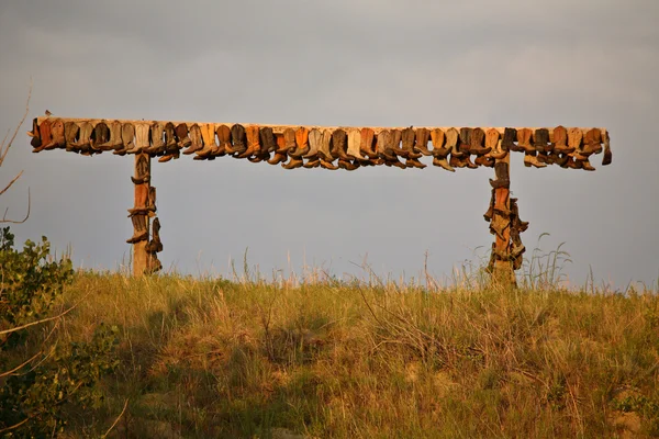 Коллекция ковбойских сапог в живописном Саскачеване — стоковое фото