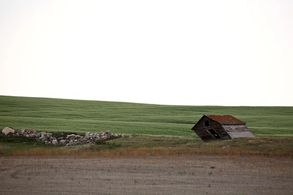 Doğal saskatchewan içinde eski tahıl ambarı yaslanmış — Stok fotoğraf