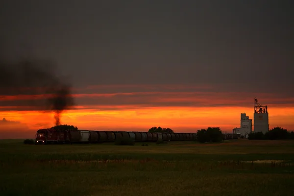 Поїзд проходячи через Саскачеван брови на заході сонця — стокове фото