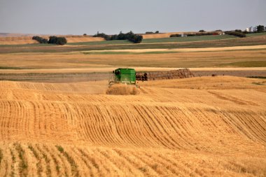 Farmer combining his crop in scenic Saskatchewan clipart