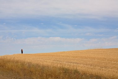 genç kız geri saskatchewan anız alanda yürüyüş