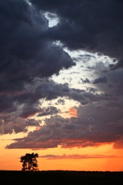 muhteşem manzaralı saskatchewan alacakaranlıkta