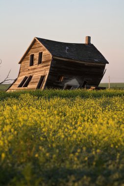 doğal saskatchewan yıpranmış eski çiftlik