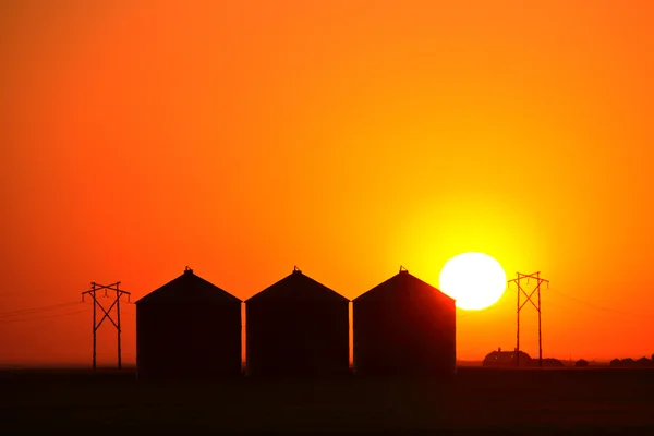 Sole che tramonta dietro Saskatchewan granai metallici — Foto Stock