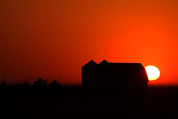 Pôr do sol atrás dos celeiros de metal de Saskatchewan — Fotografia de Stock