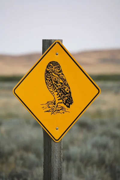 Stock image Burrowing Owl road sign in scenic Saskatchewan