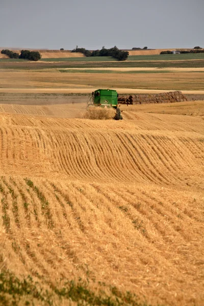 Agricoltore che unisce il suo raccolto nella scenografica Saskatchewan — Foto Stock