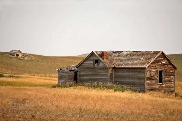 猫头鹰在窗口的老被遗弃的农场房子 — 图库照片