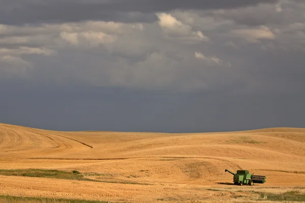 Moissonneuse-batteuse et orage de nuages dans la Saskatchewan pittoresque — Photo