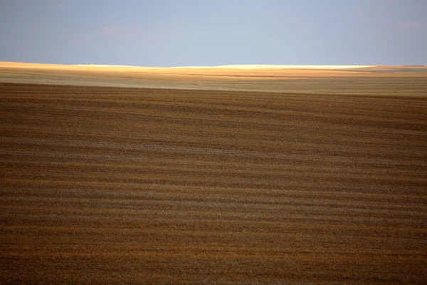 Ombre nuageuse sur un champ de chaume en Saskatchewan — Photo