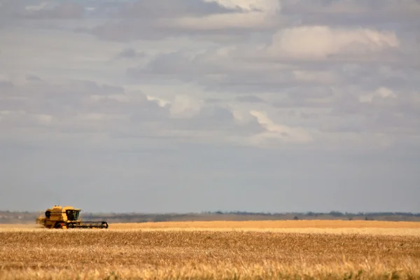 Agricultor que combina cultivos en el pintoresco Saskatchewan — Foto de Stock