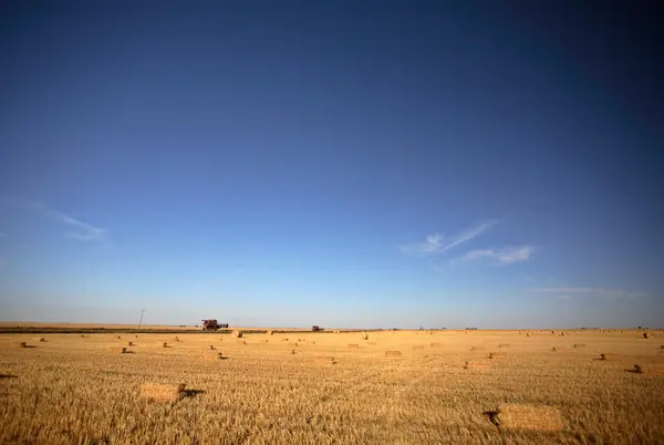 Balles de paille dans un champ de la Saskatchewan — Photo