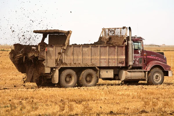 Náklaďák rozmetání hnoje na poli strniště saskatchewan — Stock fotografie