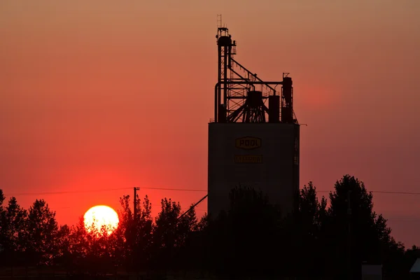 Puesta de sol detrás de la terminal de grano de cejas en Saskatchewan — Foto de Stock