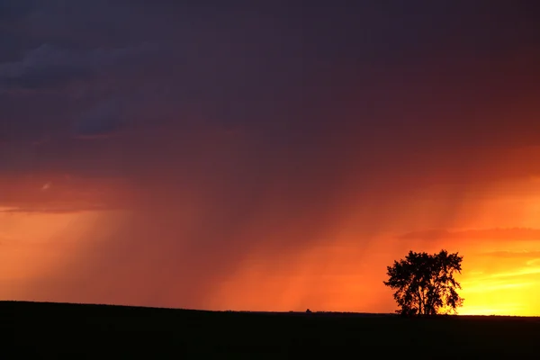 Pôr do sol com chuva em Saskatchewan cênica — Fotografia de Stock