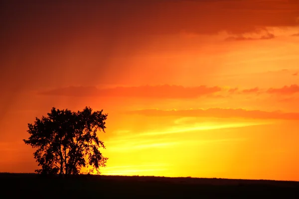 風光明媚なサスカチュワンの雨と夕日 — ストック写真