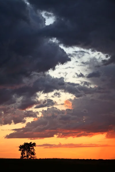 Hermoso crepúsculo en el pintoresco Saskatchewan — Foto de Stock